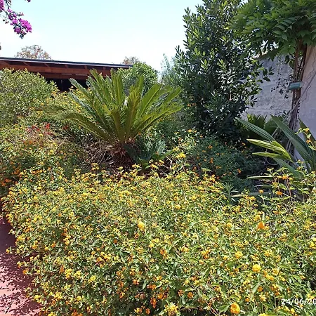 William * Quartu Sant'Elena