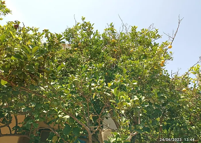 Homestay William Quartu Sant'Elena