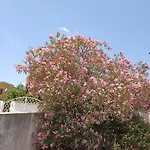 William منزل للإقامة *