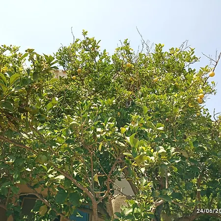 Homestay szállás William Quartu SantʼElena