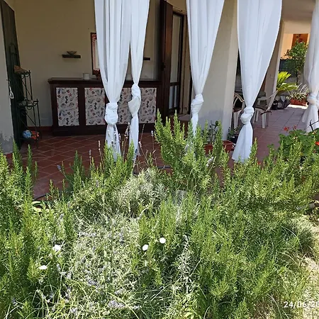 William Homestay szállás