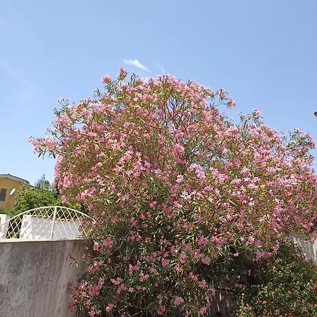 William Rum i privatbostad *