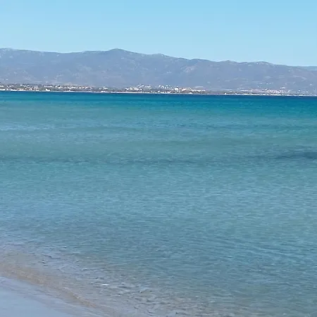 William * クアルトゥ・サンテーレナ