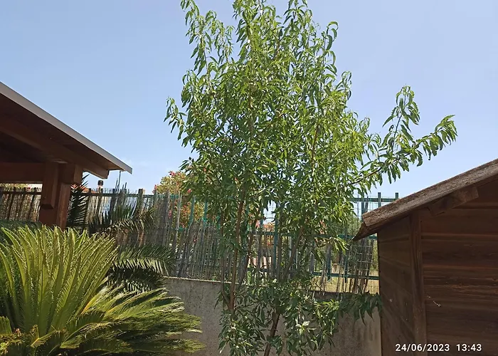 ホームステイ William