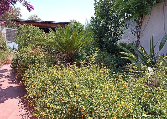 William * クアルトゥ・サンテーレナ