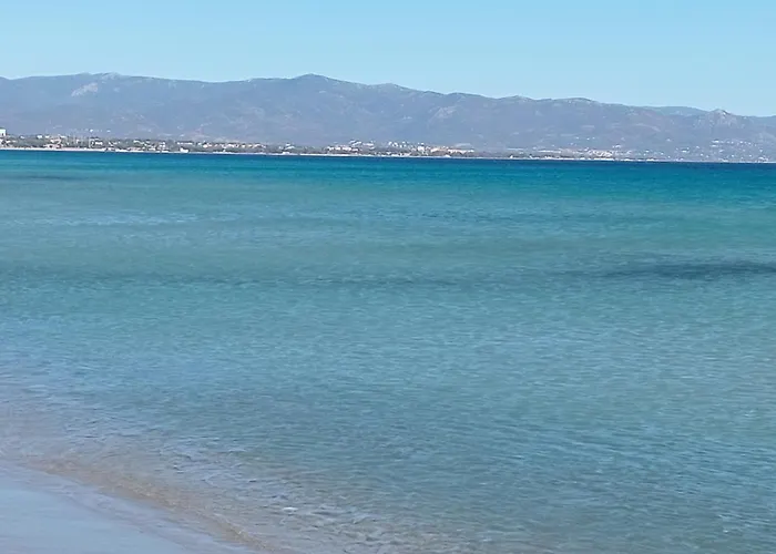 William * Quartu SantʼElena